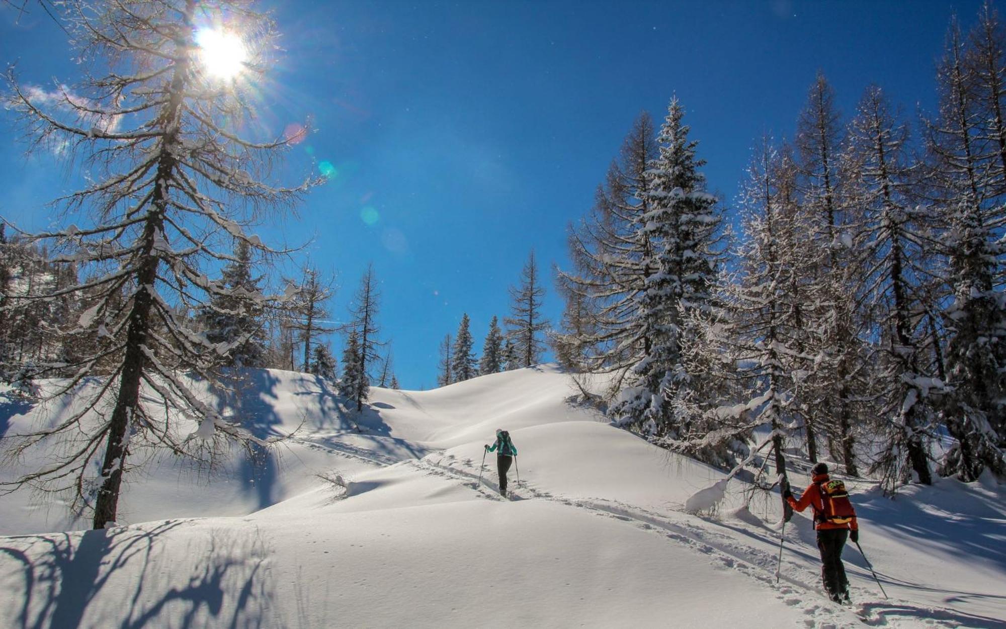 Naturparkresort Geoapartment Gams bei Hieflau Zewnętrze zdjęcie